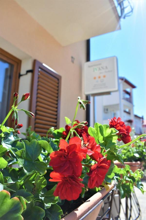 Apartments & Rooms Ivana Rovinj Phòng bức ảnh